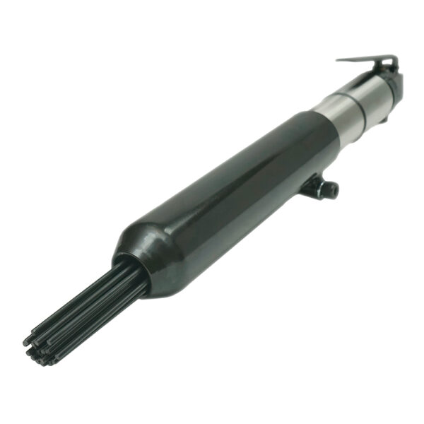 CS 262 2 Professional Air Needle Scaler